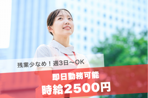 看護スタッフ（介護付き有料老人ホーム）