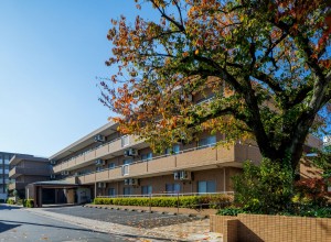 施設内の訪問看護師（非常勤）